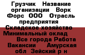 Грузчик › Название организации ­ Ворк Форс, ООО › Отрасль предприятия ­ Складское хозяйство › Минимальный оклад ­ 27 000 - Все города Работа » Вакансии   . Амурская обл.,Зейский р-н